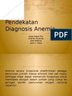 Pendekatan Diagnosis Anemia