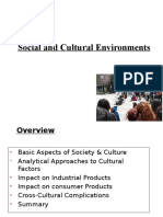 3.cultural Issues