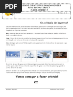 Protocolo 7 3ºano 16-17 - Joana Carvalho