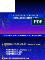 Citologia Lichidului Cefalorahidian (LCR)