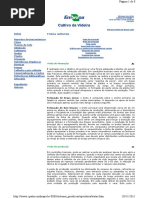 Cultivo Da Videira -Tratos Culturais