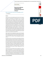 A Novel Role for Interleukin-18 in Adhesion Molecule Induction Through NFκB and Phosphatidylinositol (PI) 3-Kinase-Dependent Signal Transduction Pathways