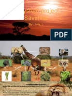 Ecosystem Project - Savanna