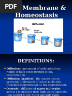 Cell Membrane & Homeostasis