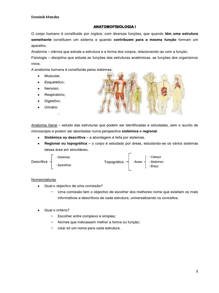 Anatomofisiologia Humana: Estruturas e Funções | PDF | Epitélio | Pele