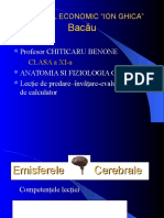 Emisferele Cerebrale