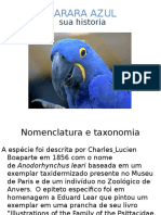 A Arara Azul