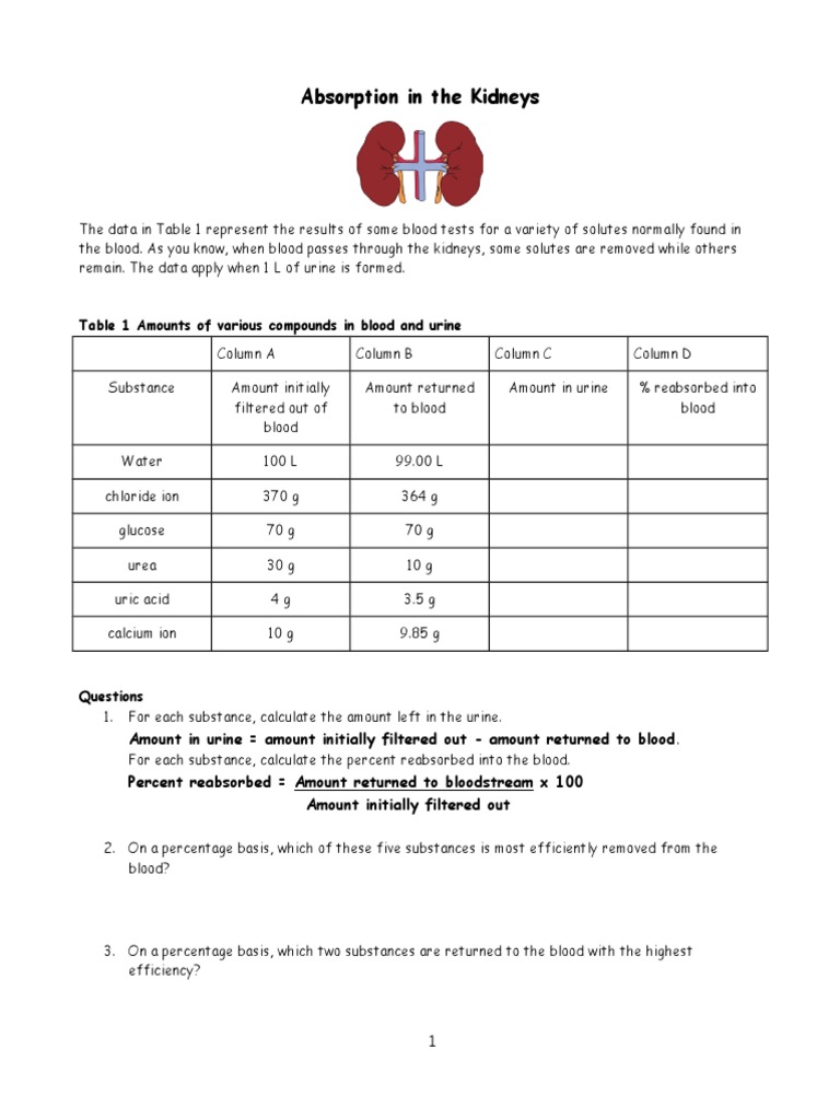 Kidney Solute Absorption Analysis | PDF | Urine | Kidney