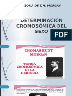 Teoria de Thomas H. Morgan