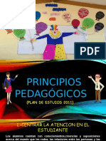 Presentacion de Los Principios Pedagogicos