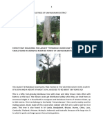 Heritage Trees of Kanyakumari District - Docx1