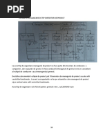 FORMA DE ORGANIZARE DE TIP EXPEDITOR DE PROIECT.pdf