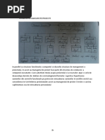 FORME DE ORGANIZARE PE PROIECTE.pdf