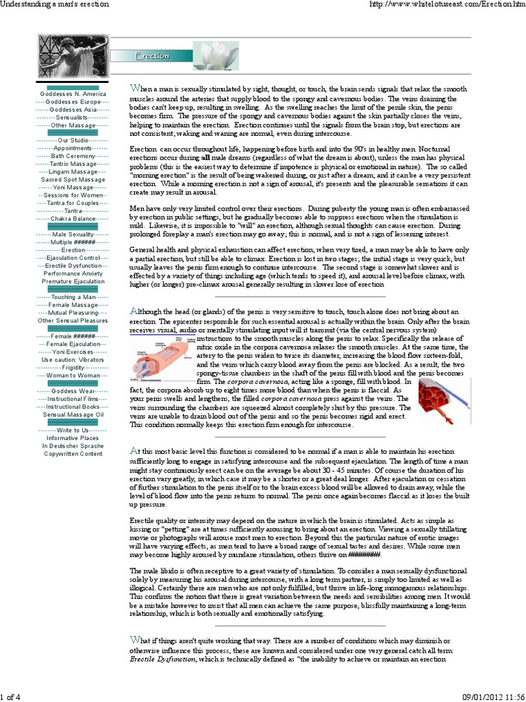 Understanding The Physiology Of Male Erection And The Causes Of