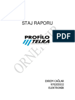 Elektronik_OrnekRapor.pdf