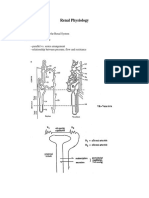 Renal Physiology PDF