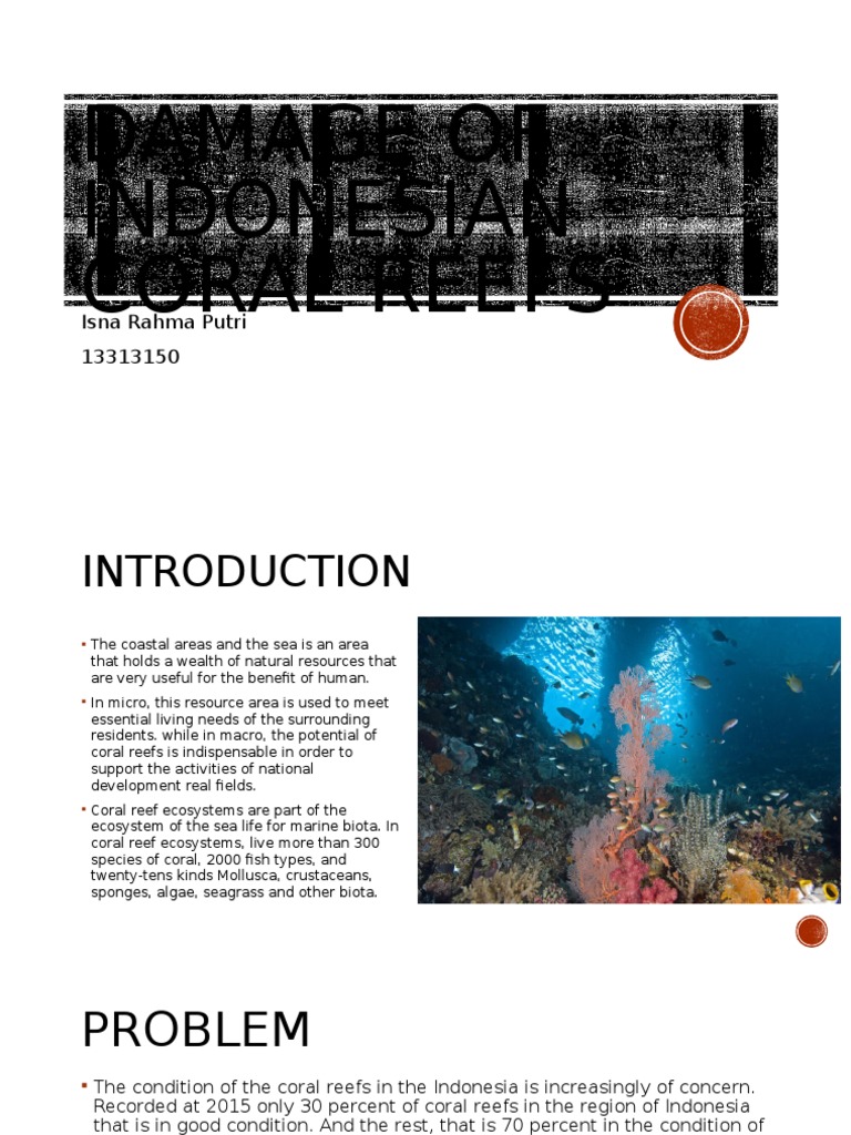 Damage to Indonesian Coral Reefs | PDF | Technology & Engineering