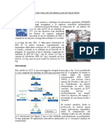 ciclo televisor.pdf