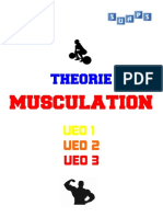 Theorie Musculation