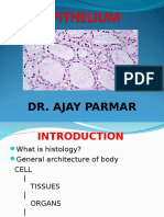 Epithelium DR - Ajay