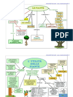 Mappe Piante