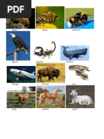 Lista de animales de la A a la Z | PDF | Zoología