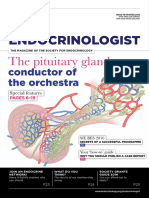 The Endocrinologist 