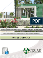 BasesdeDatos PDF