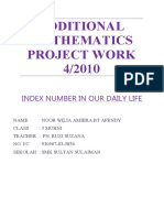 Additional Mathematics Project Work 4