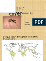 Dengue Fever: A Disease Spread by Mosquitos