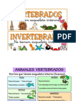 Los Animales s