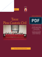 Tercer Pleno Casatorio Civil