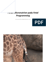 Materi 1 Peran Micronutrien Pada Fetal Programming Dr. NoroyonoSpOG K