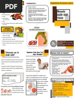 Leaflet Asam Urat PDF