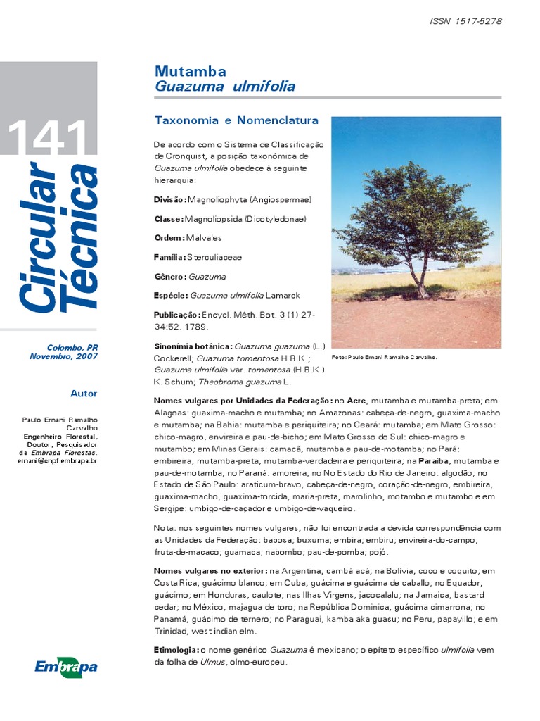 Mutamba - Guazuma Ulmifolia | PDF | Madeira | Árvores