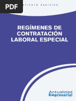 Contratacion Laboral Especial