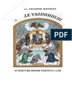 vamile-vazduhului-si-marturii-despre-existenta-lor-nicodim-mandita.pdf