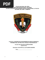 Informe So3 Pnp Silvera Noe Joel