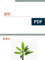 3. 植物