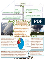 Contaminacion_del_agua1.docx