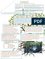 Contaminacion Del Agua