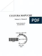 Cultura Mapuche