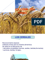 Tecnología del trigo a través de la historia