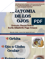 01.- Anatomìa Del Ojo