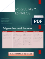 Características y diagnóstico de espiroquetas y espirilos