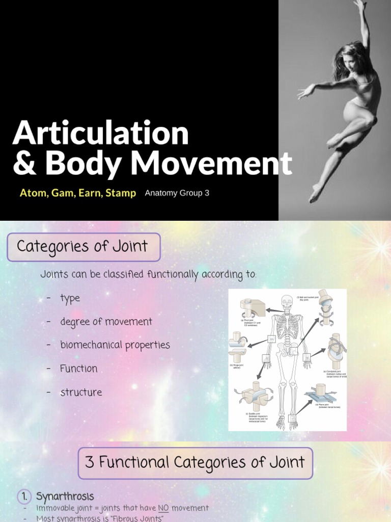 Articulation Body Movement PDF Joint Cartilage