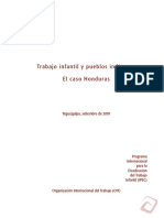 49618330-ti-pueblos-indigenas-honduras.pdf