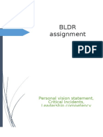 BLDR Assignment: Personal Vision Statement, Critical Incidents, Leadership Competency