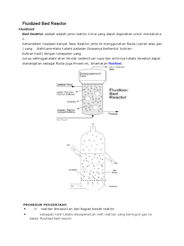 Fluidized Bed Reactor PDF