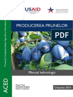 ACED Manual - Producerea Prunelor
